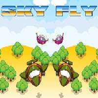 sky fly